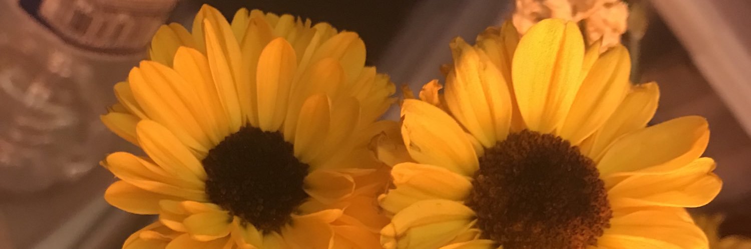 KaaaarenP's profile banner image