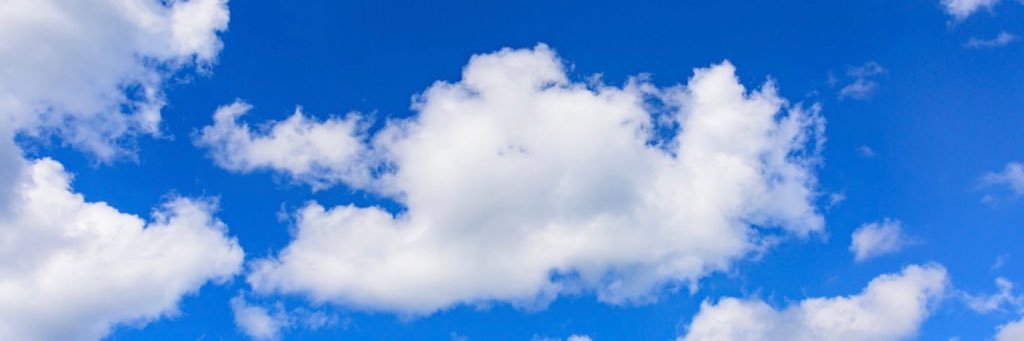 RachelTheLast's profile banner image
