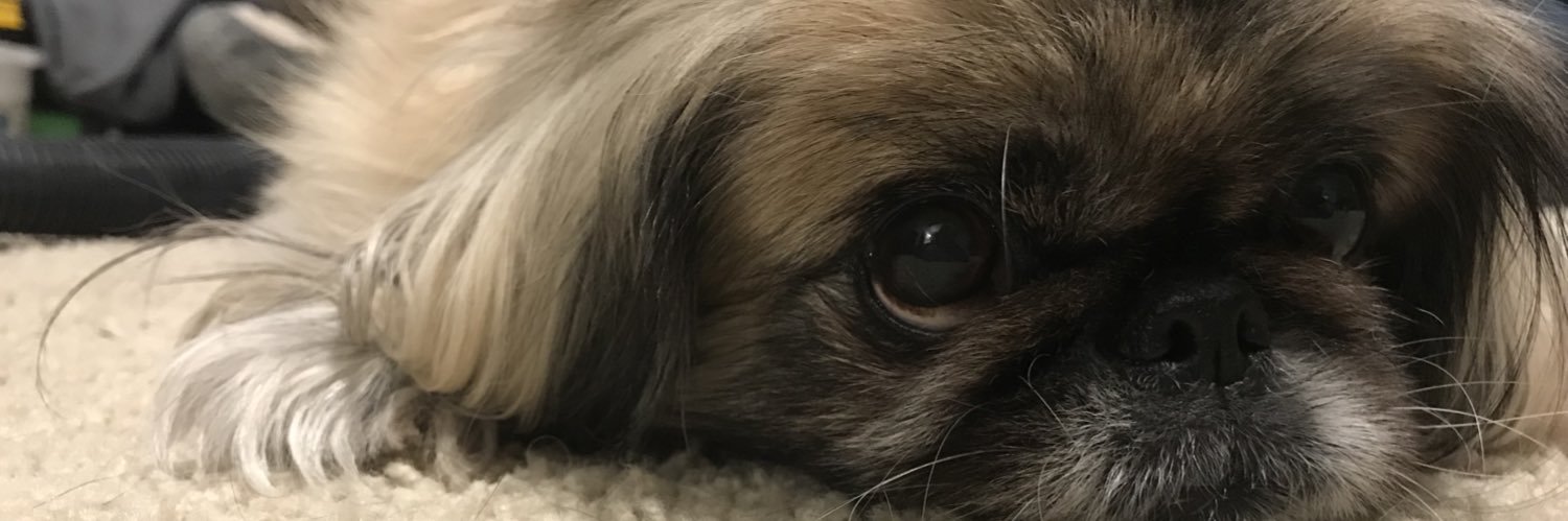 ShawnScottS's profile banner image