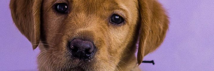 ____dee___'s profile banner image