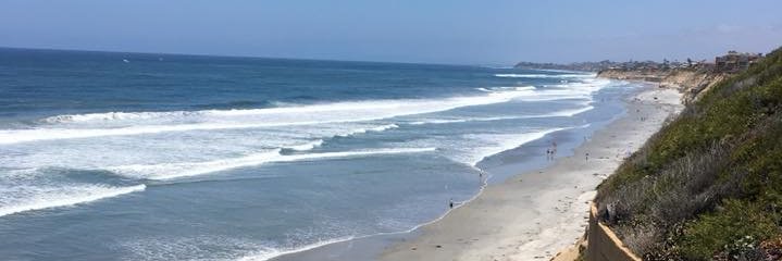 Courtney Taylor banner