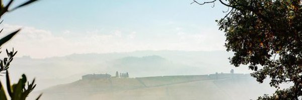 waddledogie Profile Banner