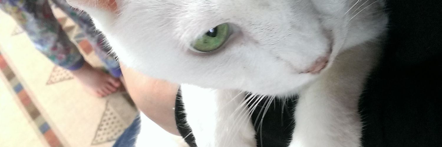 spmjbb's profile banner image