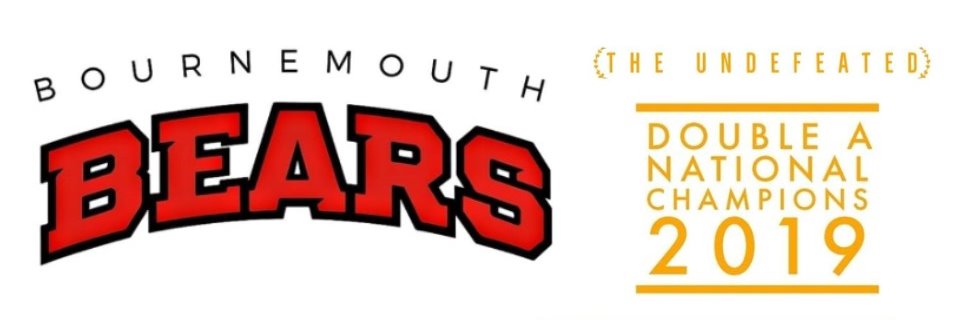 Bournemouth Bears banner