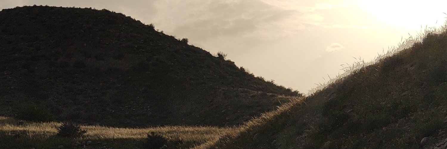 Atishoon's profile banner image