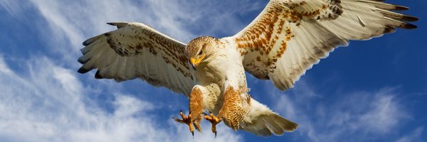 hths_htsd Profile Banner