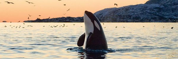 youknow04 Profile Banner