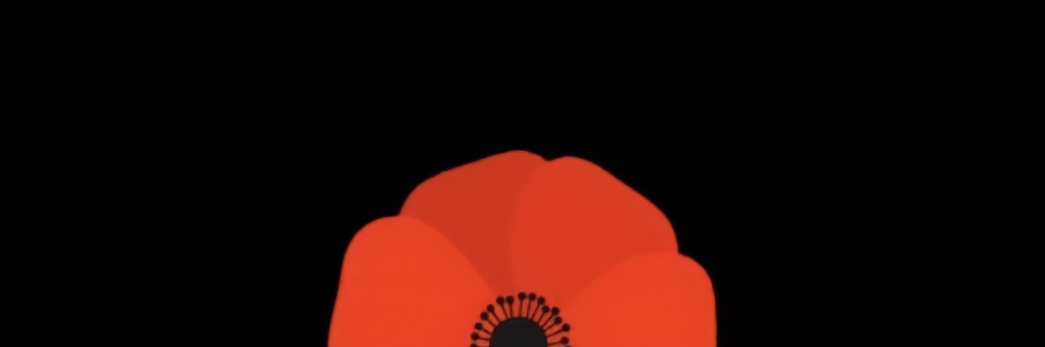 Tiffany Harrison banner