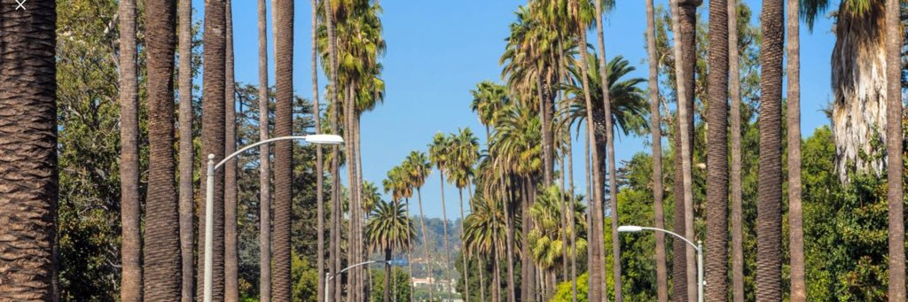 Nickolas  Clarek banner