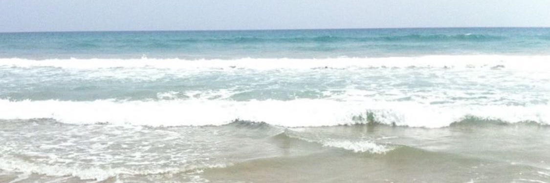 José María Fernández banner