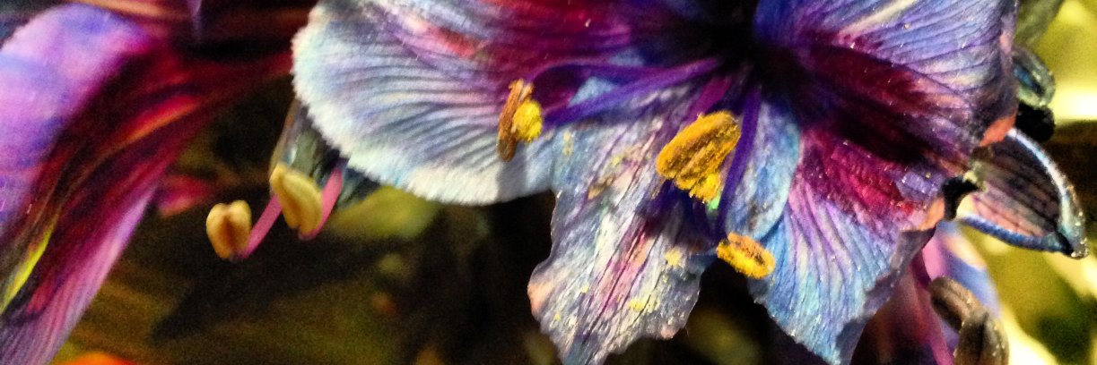 WilliamBlake999's profile banner image