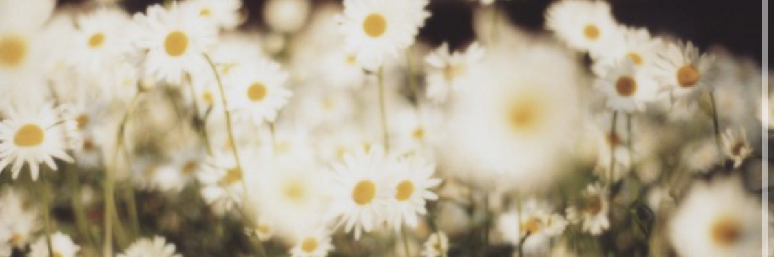 HannahhFoglee14's profile banner image