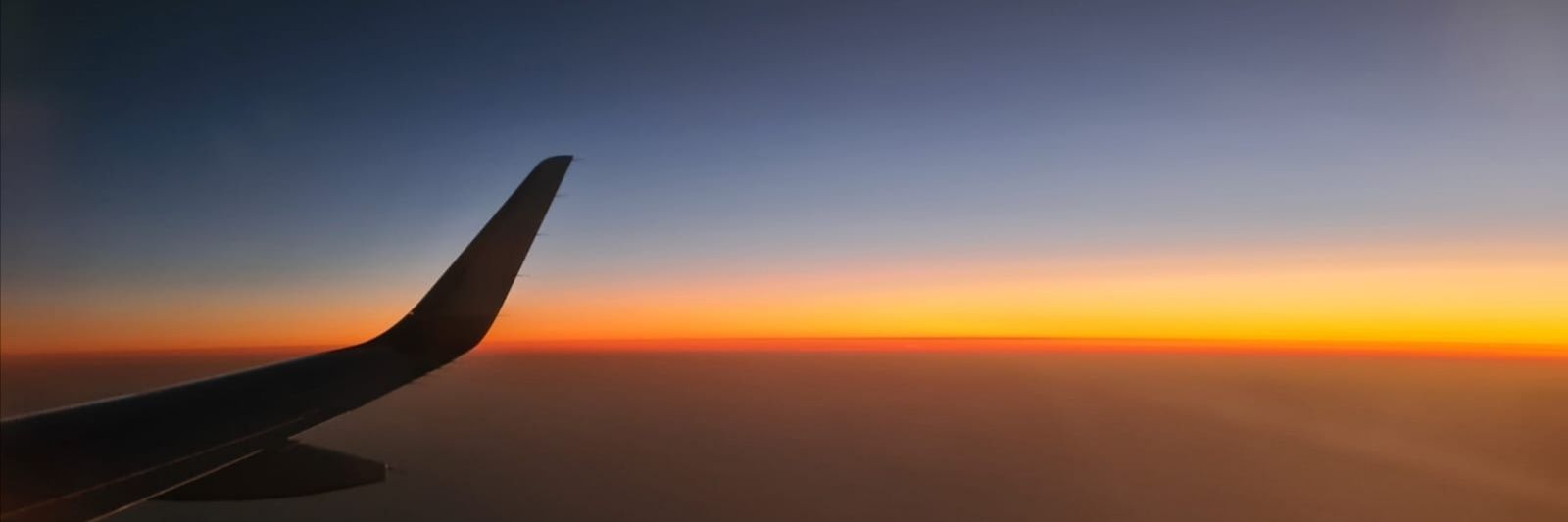 niki2206's profile banner image