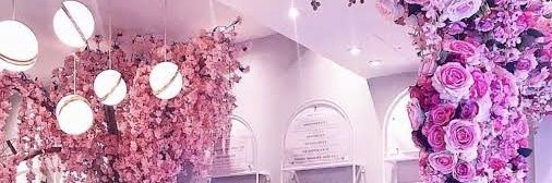 KattyCosta5's profile banner image