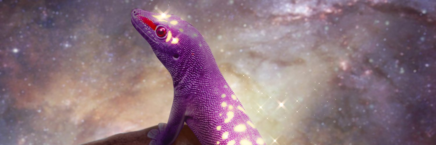 PsychoCrypto1's profile banner image