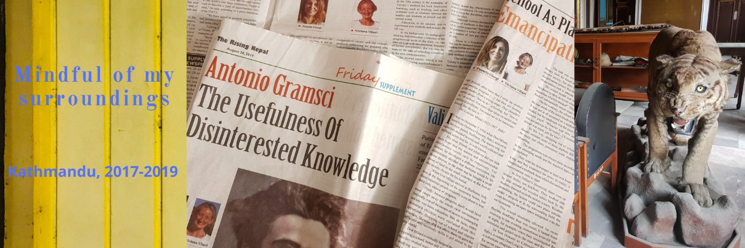 Viviana Vitari banner