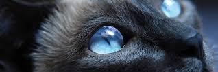 mariaR501's profile banner image