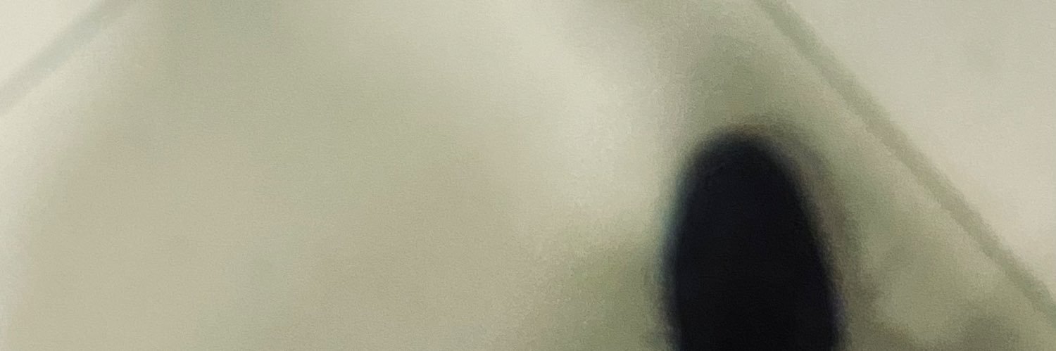mstanitim's profile banner image