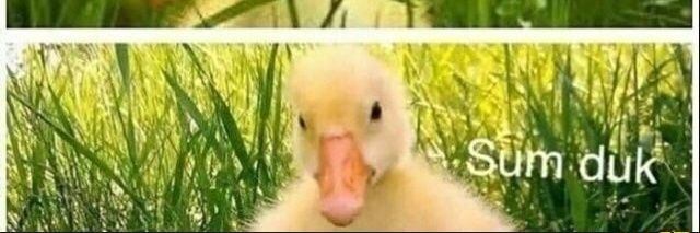 Lucas brennan banner