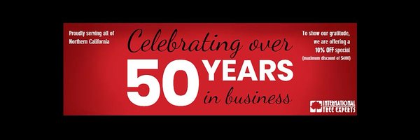 IntTreeExperts Profile Banner