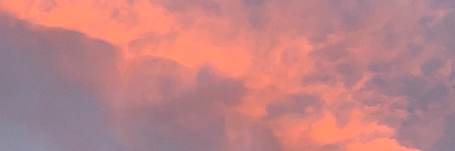 msheai_'s profile banner image