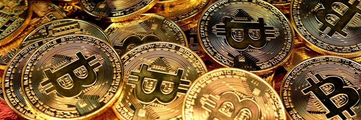 criptocolector's profile banner image