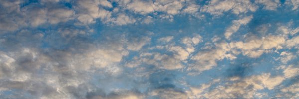 treblecleffer Profile Banner