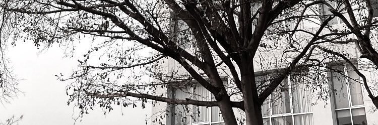 mumudaimai's profile banner image
