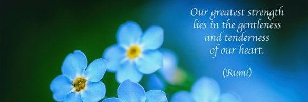 winged_silence Profile Banner