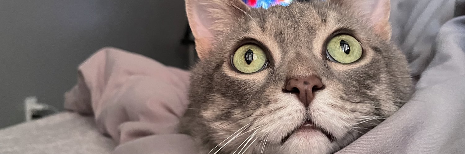 sexydaddymitch banner