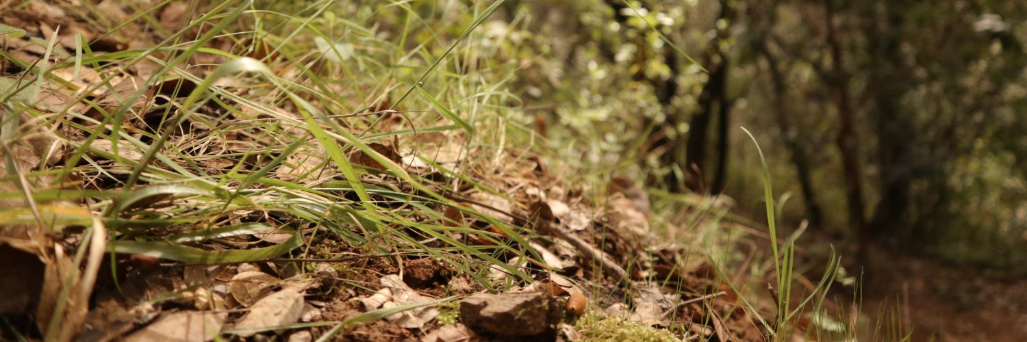 riverdamsquid's profile banner image