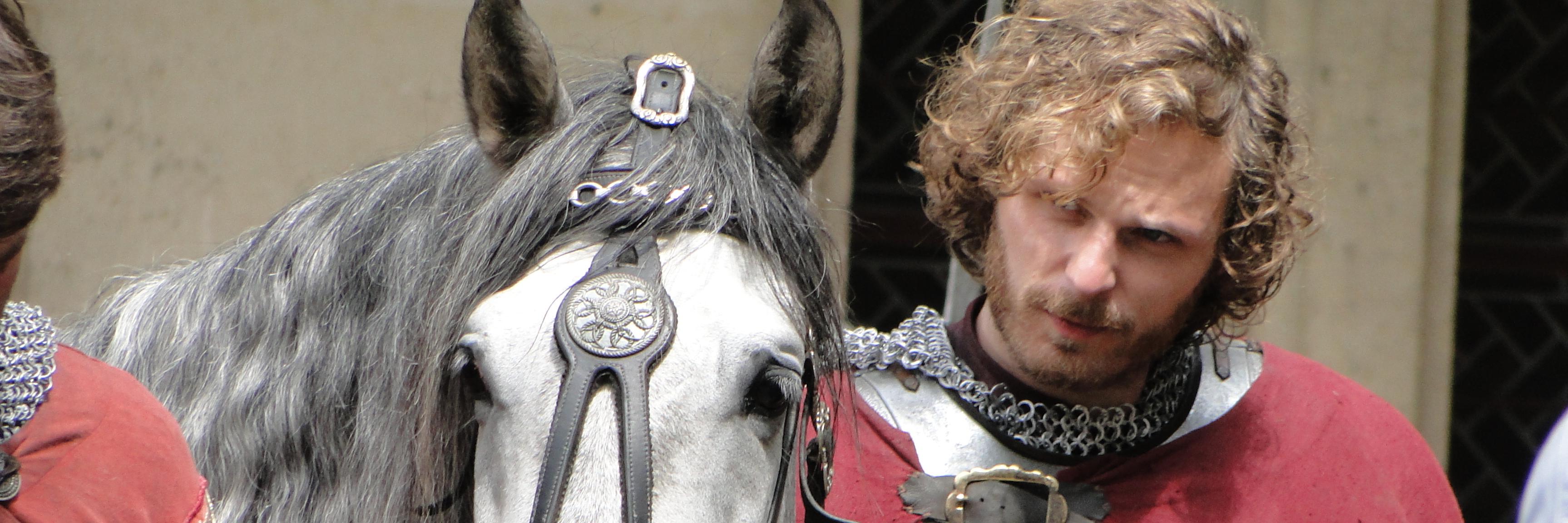 MerlinFlutegirl's profile banner image