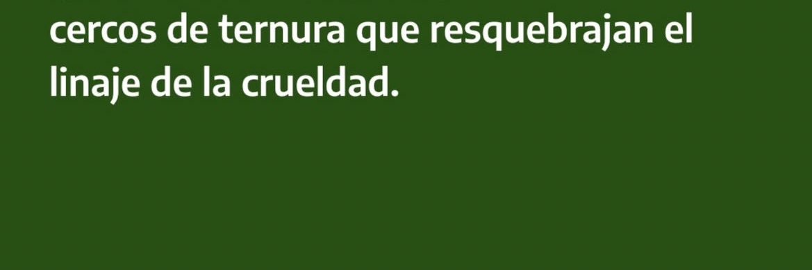 chavezflor96's profile banner image