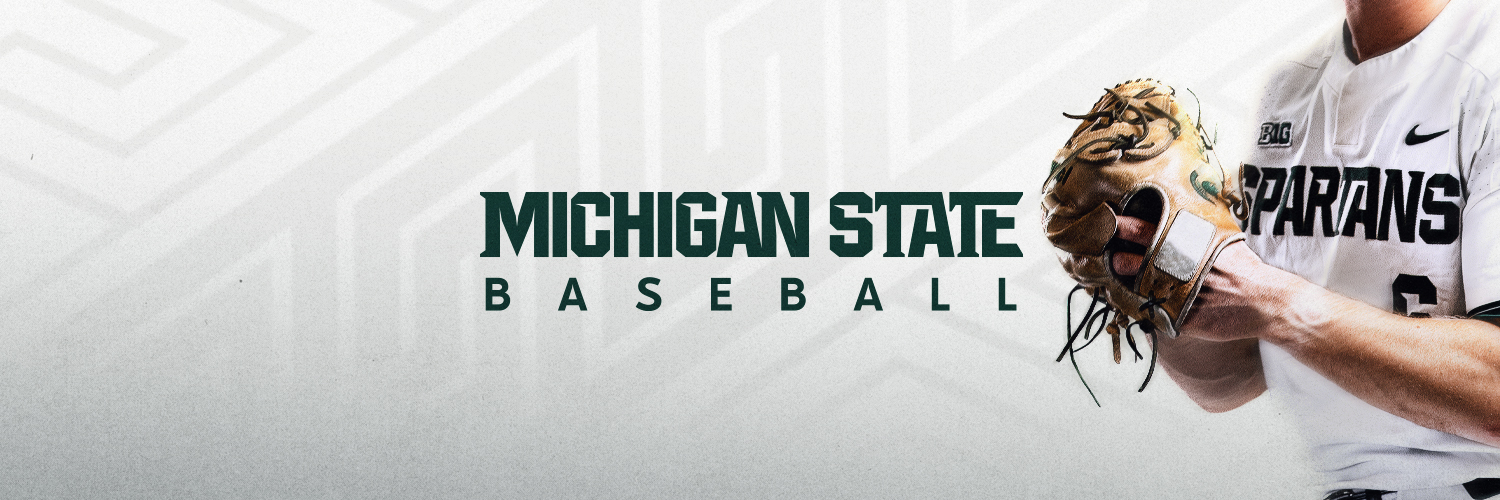 Michigan State Baseball's banner