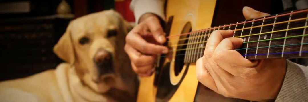 LarryLoboMusic's profile banner image