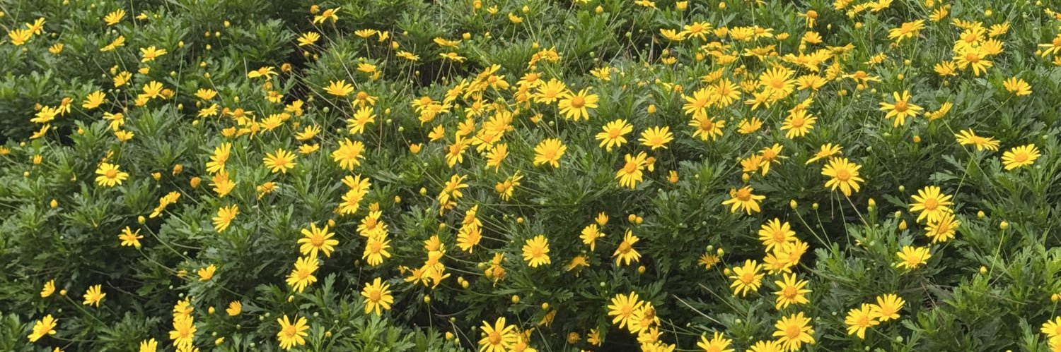 keeeepgrowing__'s profile banner image