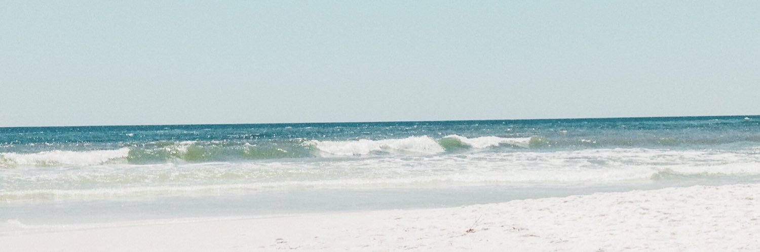 Brynna Deluzio banner