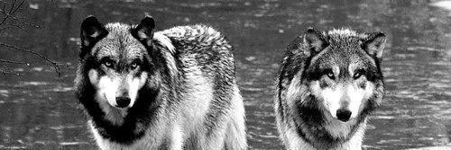 taylor__day's profile banner image