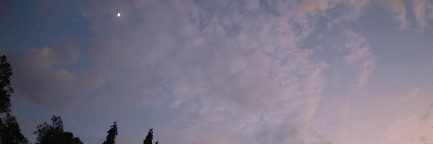 Fantasivenn's profile banner image