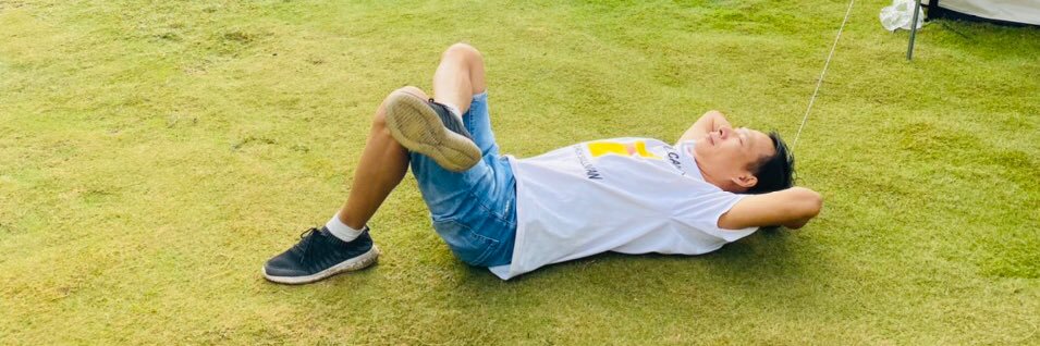 Phoenix Undying banner