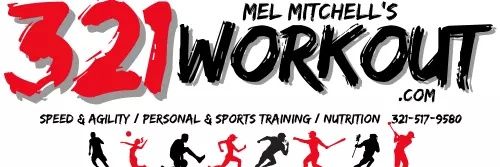 Mel Mitchell III banner