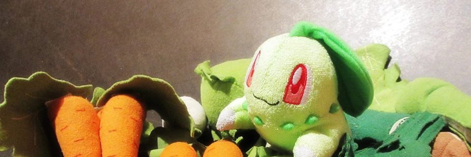 チコ banner