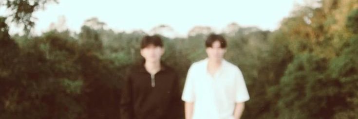 cher banner