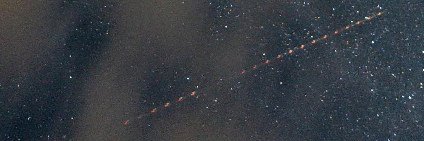 Farai Louis Samunyai banner