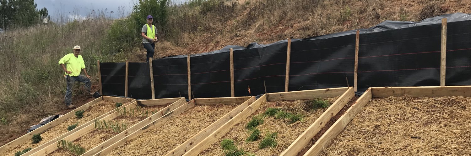 Frances O'Donnell banner