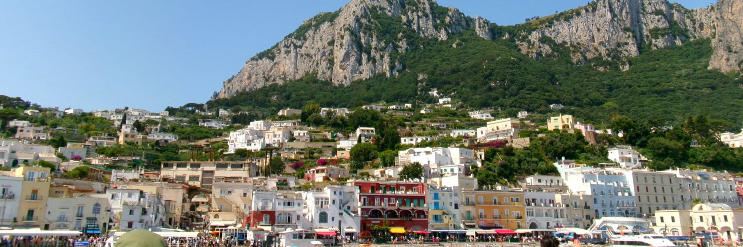 Whitley Figge banner