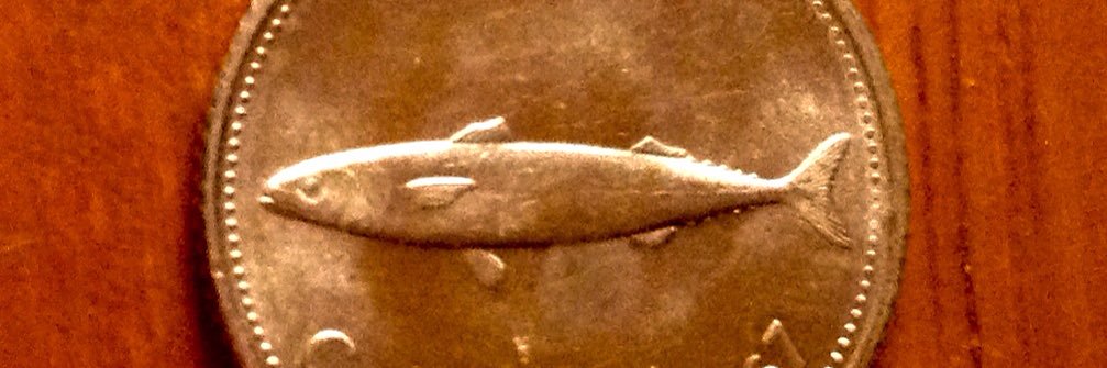 fishandwild's profile banner image