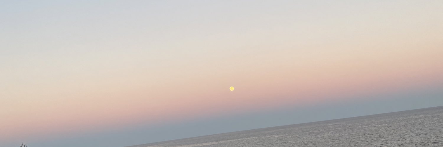 AngelaPareedes's profile banner image