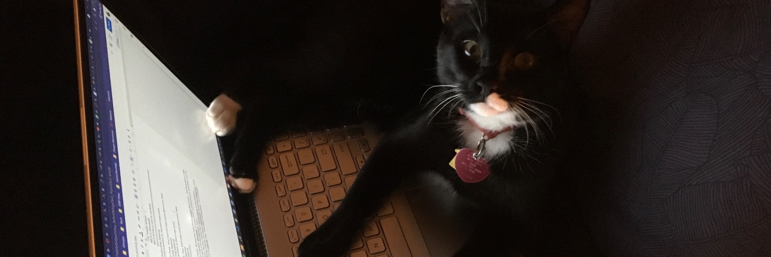 Jada_H35's profile banner image