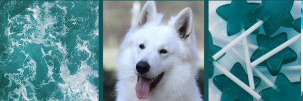 imArb0r Profile Banner